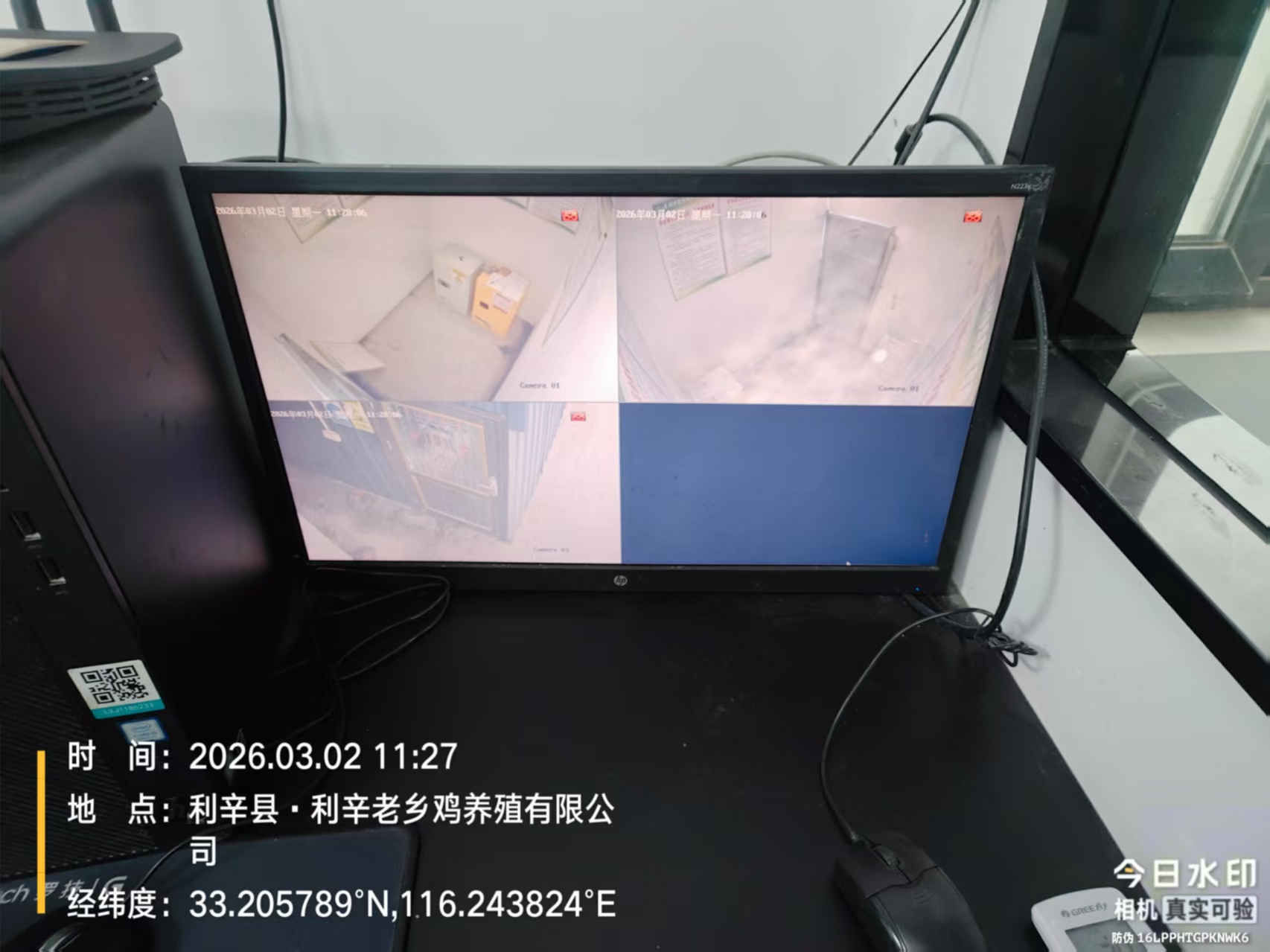 利辛老乡鸡养殖基地监控新装-监控室4路验收画面