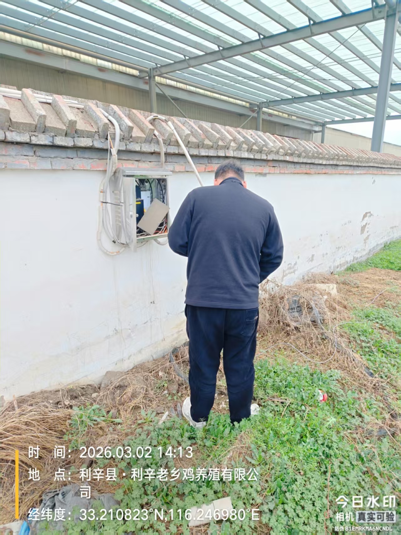 利辛老乡鸡养殖基地监控新装-设备箱安装调试